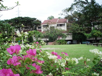 east lawn view